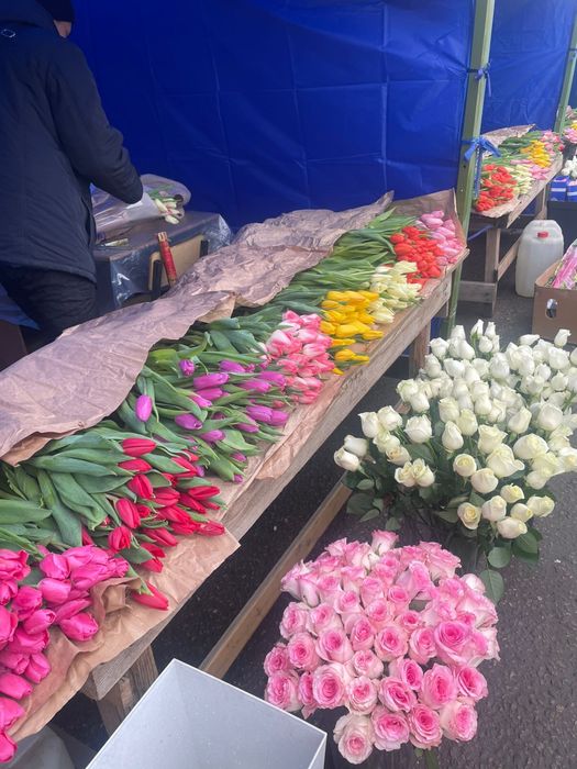 Тюльпаны свежие