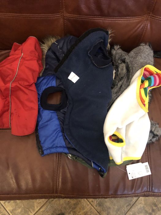 Haine catelusi  de talie mica