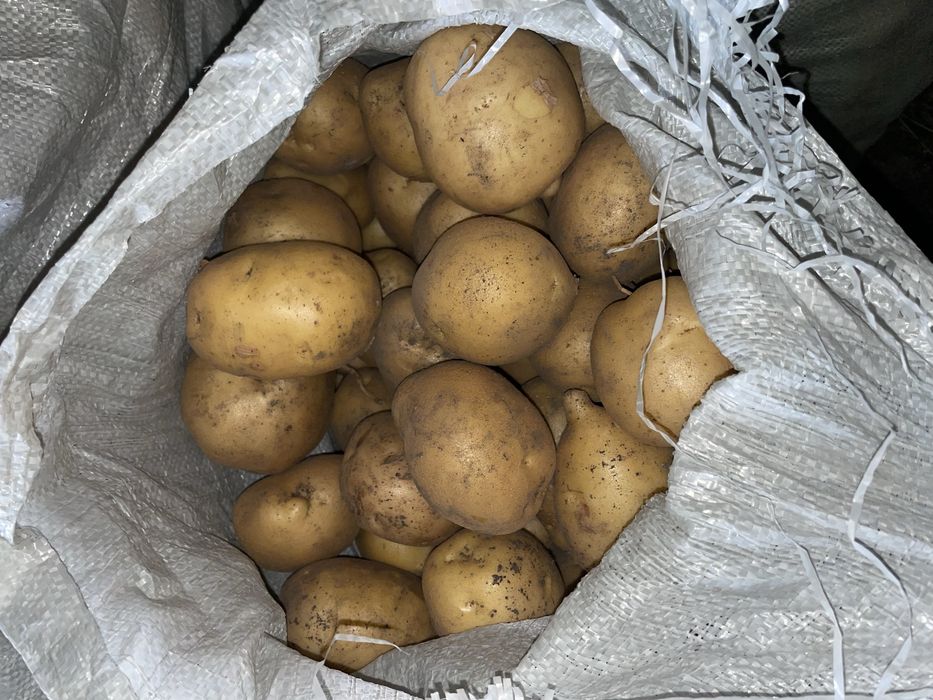 Продаётся картофель