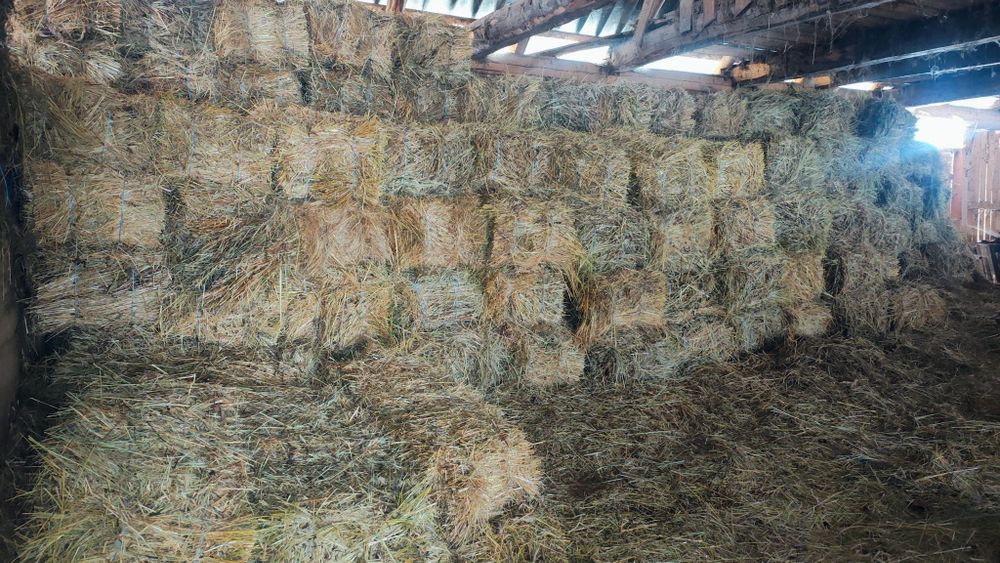 Vând baloți de fân