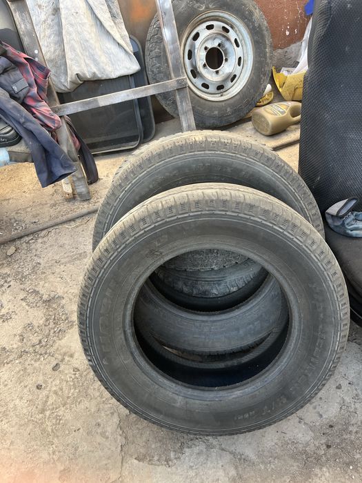 Балонь для газель