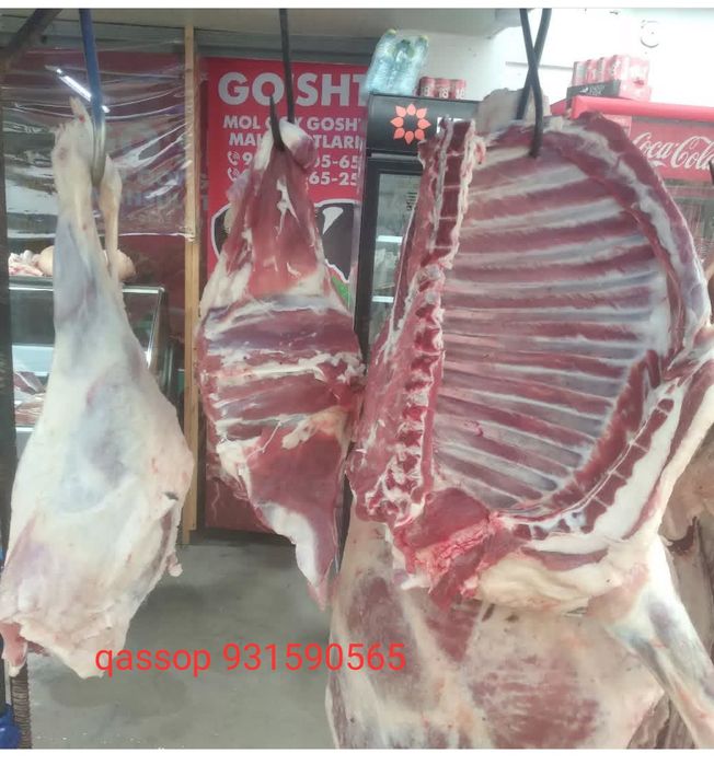 Qassop xzmati toshken shaxar