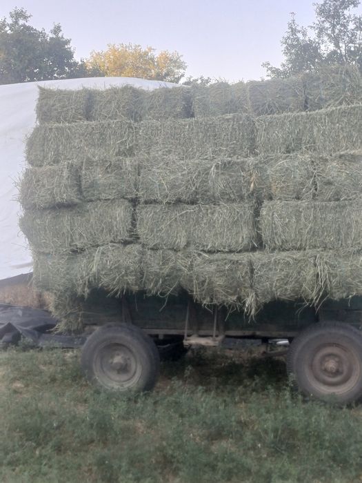 Baloti de vanzare