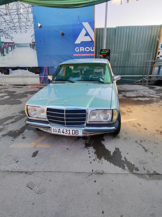 W123 Mercedes Crocodile