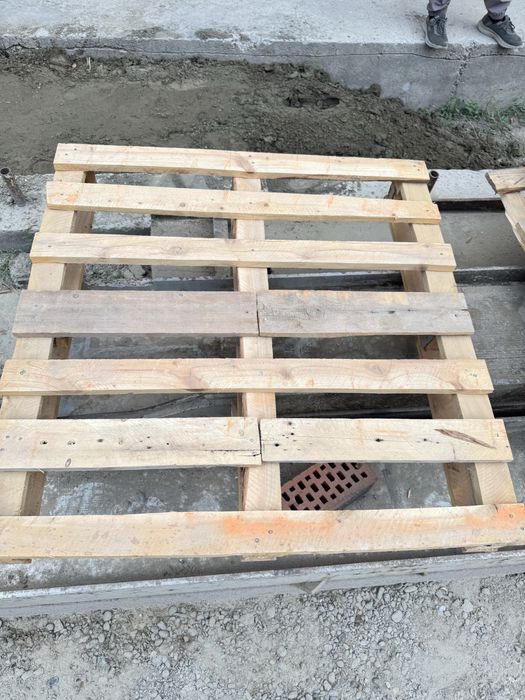 Paddon  бор оптомга