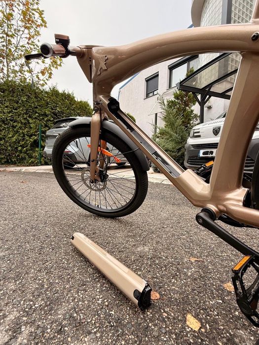 Bicicleta electrica Rayvolt Exxite X One Power Hub 1000W Motor