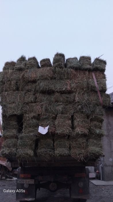 Жоңышқа сатылады!