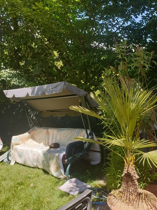 Casa Giroc Padure direct de la proprietar Giroc • OLX.ro