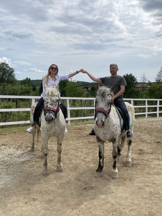 De Vanzare Pereche Cai APPALOOSA