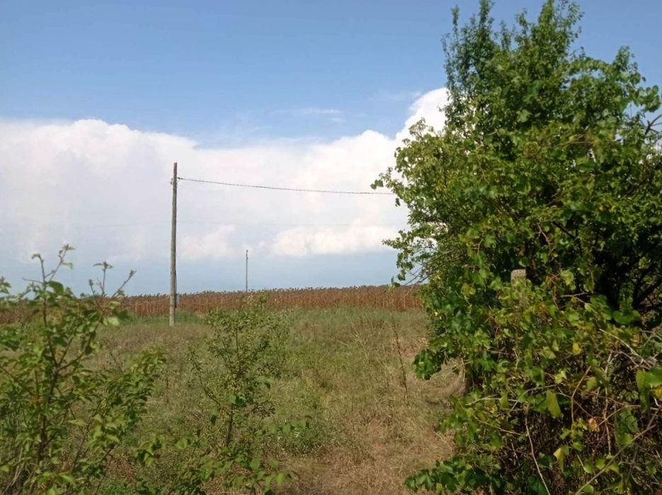 Продава се Парцел в с. Голям чардак, Област Пловдив - 675 кв.м за 23 €/кв.м - Снимка #5