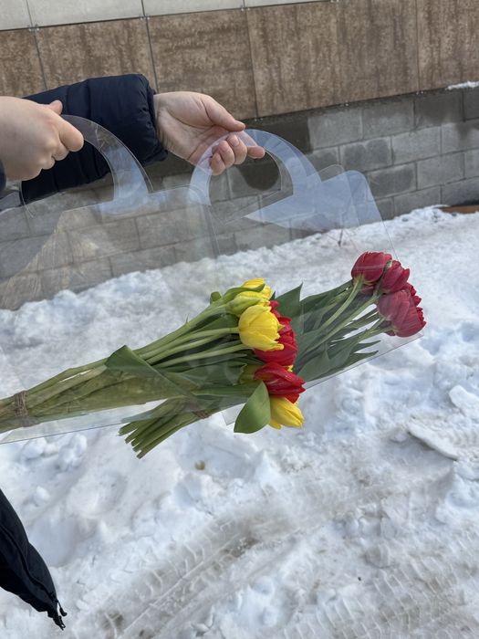 Тюльпаны в розницу