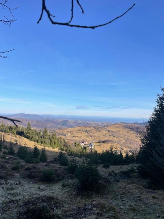 Vand teren in satul Rogojel