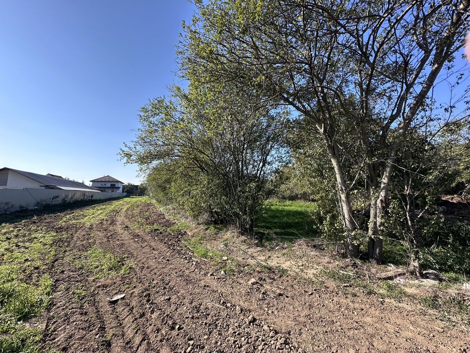 Teren Balotesti Stradal, investitie ideala