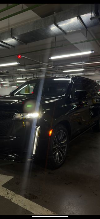 Вип встречи  Трансвер  вип авто