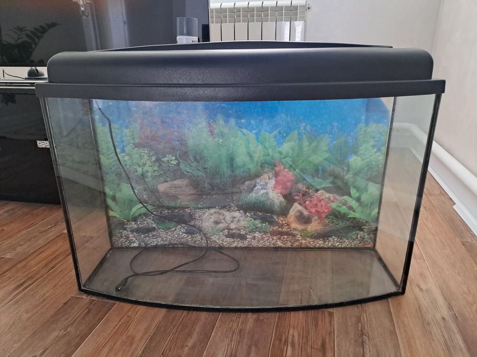 Акварум  для рыбы