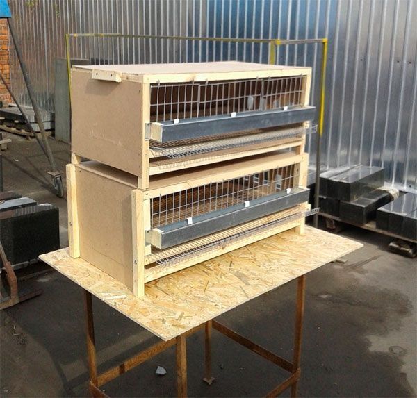 Клетки для перепелок несушек