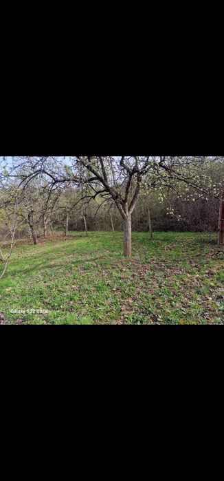 Продава се Парцел в Кюстендил, Колуша - 600 кв.м за 21 €/кв.м - Снимка #5