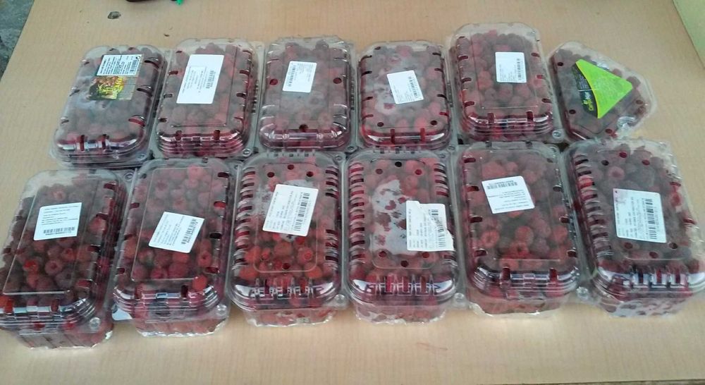 Vand zmeura Polka 100% BIO