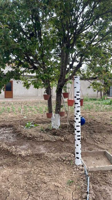 Продам дом участок