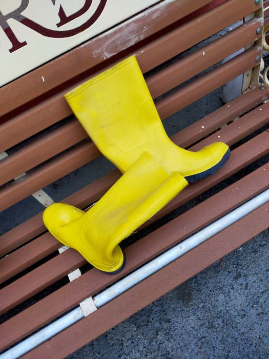 Резиновые сапоги.