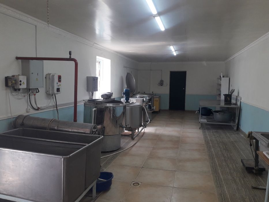 Сутни кайта ишлаш сехи