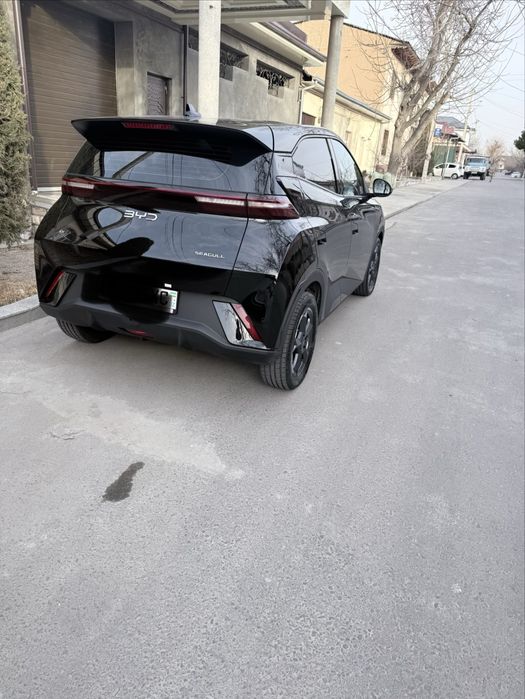 Byd seagull в отличний состоянии