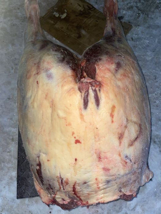 Соғым. Жабағы еті. Семейден келді.