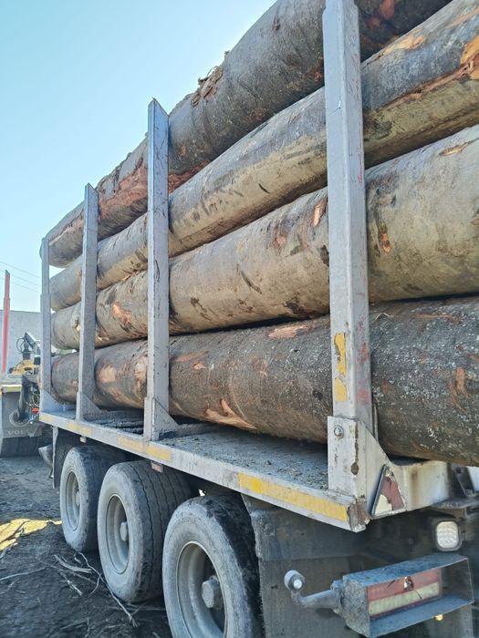 Lemn foc fag 430 mc transport inclus