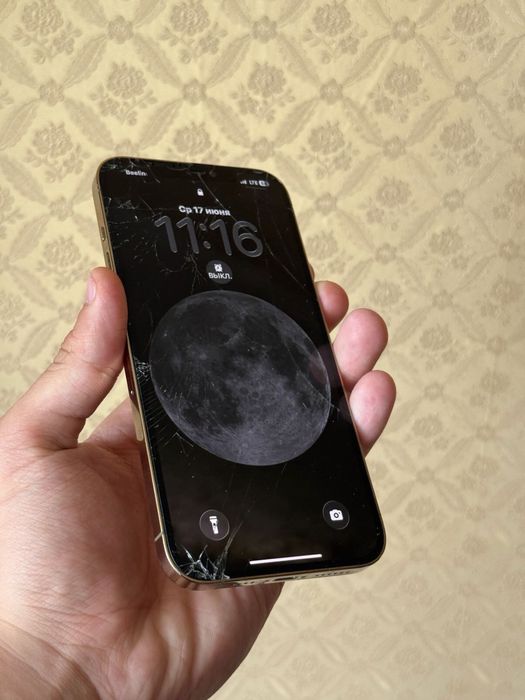 Iphone 12 pro max