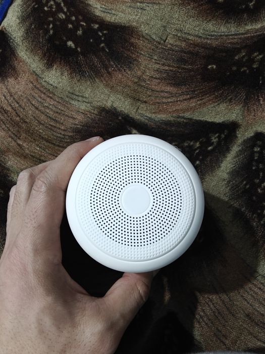 Xiaomi Speaker kalonka