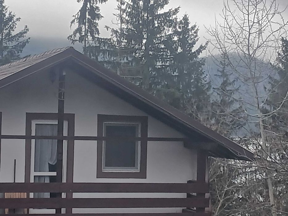 Inchiriez cabana Hangu(Grozavesti)