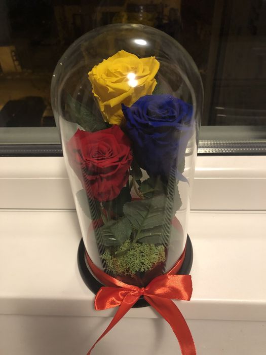 Cupole cu trandafiri criogenati conservati