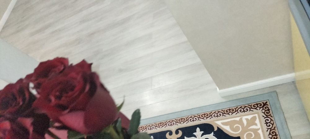 Роза светы 11 шт за 6000 тенге