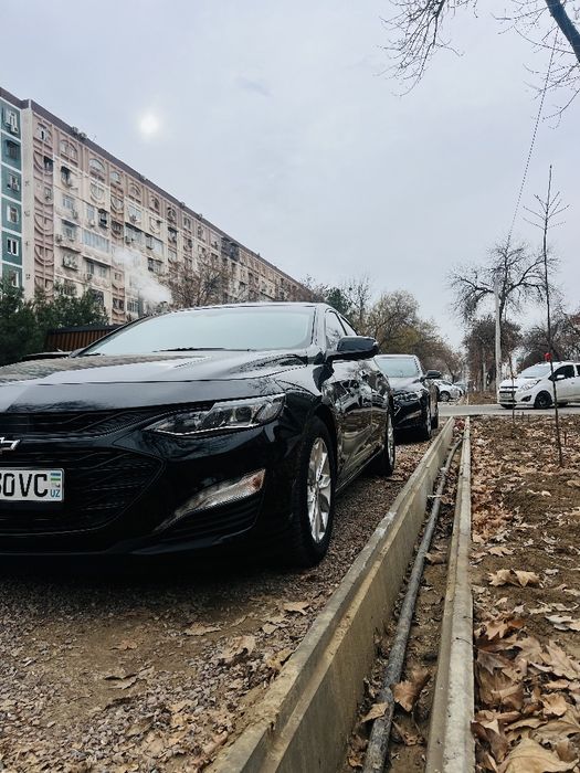 Malibu XL 2023 qora kraska tozza