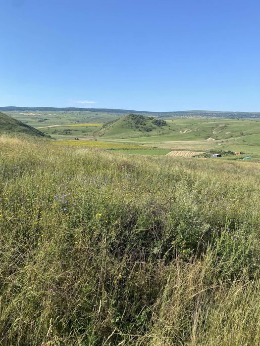 Vand teren intravilan 2528 mp