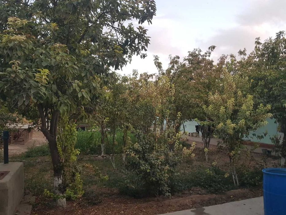 Ховли, участка, турар жой сотилади