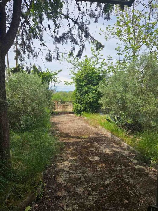 КЪЩА в Паралия Кариани