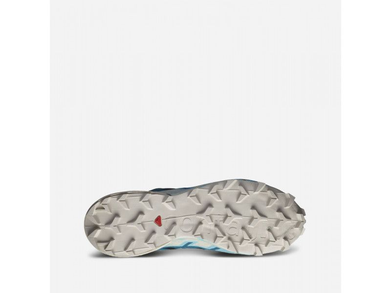 Salomon Speedcross 6 Gore tex  размери - 42, 43 1/3, 44, 44 2/3, 45 1