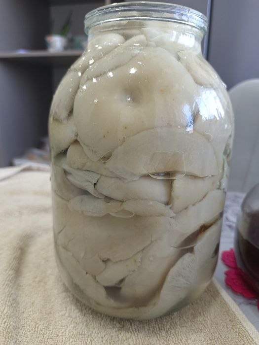 Продам грибы грузди