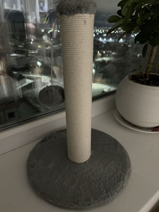 Коктирезка для кошек