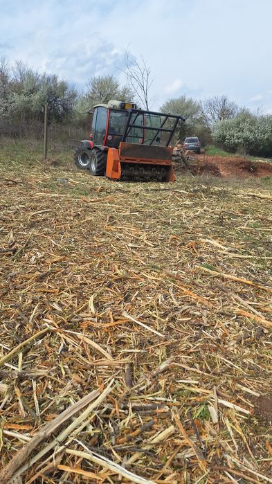 Curatam Defrisam terenuri