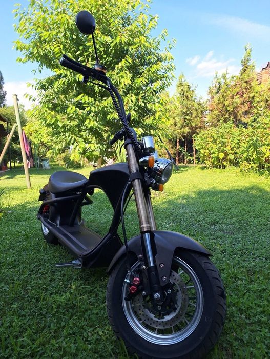 Scuter Electric Chopper Mangosteam