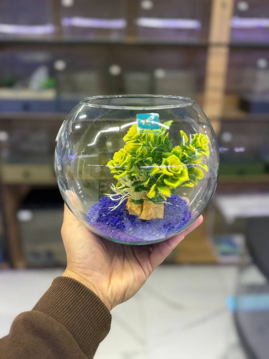 Круглый аквариум сотилади