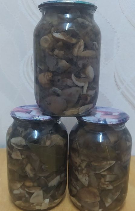 Грибы маринованные