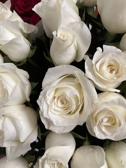 Гүлдер сатылады срочна