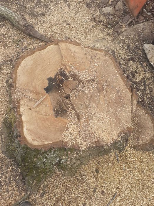 Дървен материал орех