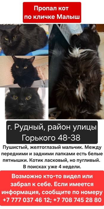 Помогите найти моего Малыша