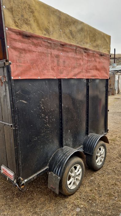 Коневоз для лошадей