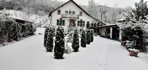 Vând Vila in Toplița!
