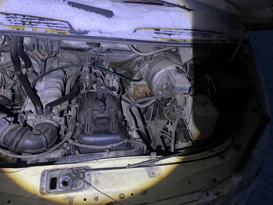 Газель инкосатор